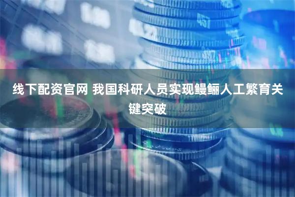线下配资官网 我国科研人员实现鳗鲡人工繁育关键突破